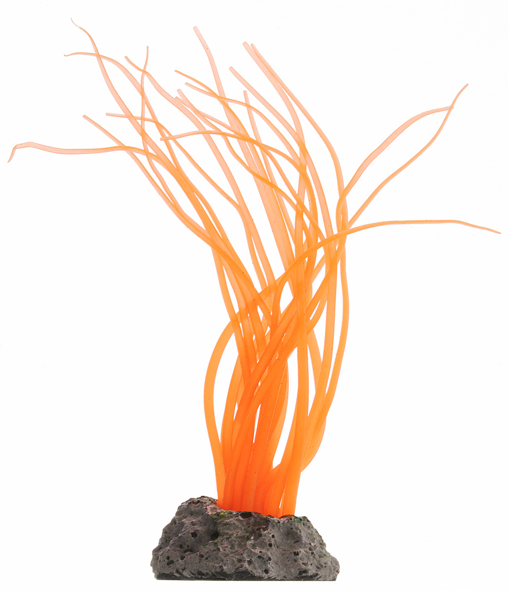 Коралл для аквариума Barbus, силиконовый, цвет: оранжевый, 3,5 х 3 х 13 смDecor 231 Коралл для аквариума Barbus, силиконовый, цвет: оранжевый, 3,5 х 3 х 13 смDecor 231Коралл для аквариума Barbus, выполненное из высококачественного силикона, станет прекрасным украшением вашего аквариума. Кораллы не выцветают и не разрушаются с течением времени, при возникновении обрастаний и водорослей на кораллах, возможна чистка жесткой щеткой. Изделие тонут и не требуют дополнительной фиксации. Кораллы абсолютно безвредны для рыб, беспозвоночных и растений, устойчивы к истиранию краски, подходят как для пресноводного, так и для морского аквариума. Коралл для аквариума Barbus придают аквариуму индивидуальность, позволяют создать свой собственный стиль или разнообразить обстановку.