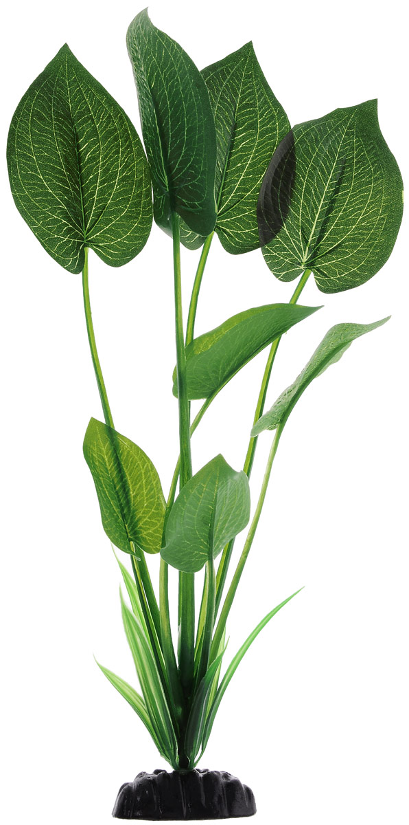 Растение для аквариума Barbus Эхинодорус бархатный, шелковое, высота 30 смPlant 043/30 Растение для аквариума Barbus Эхинодорус бархатный, шелковое, высота 30 смPlant 043/30Растение для аквариума Barbus Эхинодорус бархатный, выполненное из качественного шелка, станет оригинальным украшением вашего аквариума. В воде создается абсолютная имитация живого растения. Можно использовать в любой воде: пресной или морской. Изделие безопасно, не токсично, нейтрально к водному балансу, устойчиво к истиранию краски. Растение Barbus поможет вам смоделировать потрясающий пейзаж на дне вашего аквариума или террариума. Высота растения: 30 см.