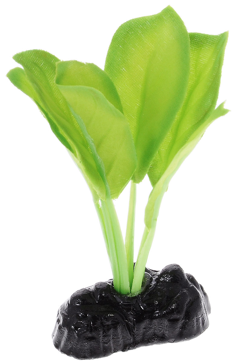 Растение для аквариума Barbus Эхинодорус Блехера, шелковое, высота 10 смPlant 037/10 Растение для аквариума Barbus Эхинодорус Блехера, шелковое, высота 10 смPlant 037/10Растение для аквариума Barbus Эхинодорус Блехера, выполненное из качественного шелка, станет оригинальным украшением вашего аквариума. В воде создается абсолютная имитация живого растения. Можно использовать в любой воде: пресной или морской. Изделие полностью безопасно для обитателей аквариума, не токсично, нейтрально к водному балансу, устойчиво к истиранию краски. Растение Barbus поможет вам смоделировать потрясающий пейзаж на дне вашего аквариума или террариума. Высота растения: 10 см.