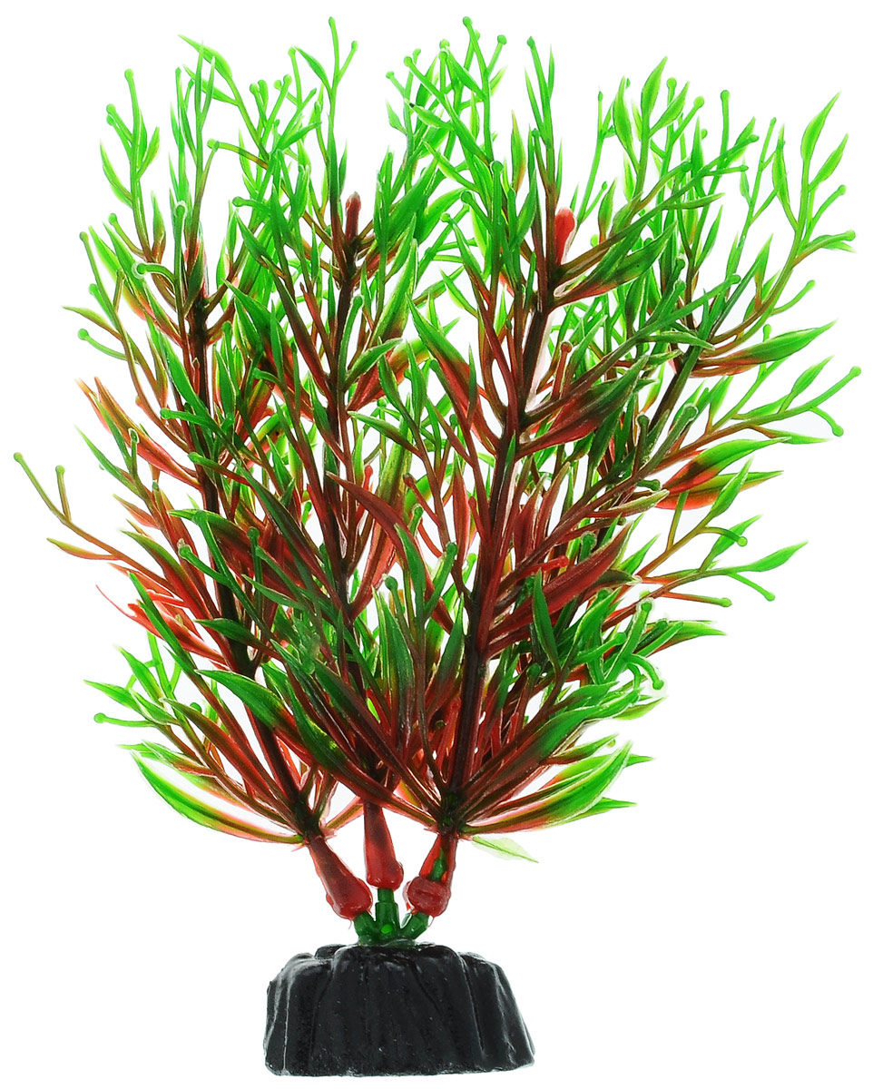 Растение для аквариума Barbus Перистолистник красный, пластиковое, высота 10 смPlant 001/10 Растение для аквариума Barbus Перистолистник красный, пластиковое, высота 10 смPlant 001/10Растение Barbus Перистолистник красный, выполненное из высококачественного нетоксичного пластика, станет прекрасным украшением вашего аквариума. Пластиковое растение идеально подходит для дизайна всех видов аквариумов. В воде происходит абсолютная имитация живых растений. Изделие не требует дополнительного ухода. Оно абсолютно безопасно, нейтрально к водному балансу, устойчиво к истиранию краски, подходит как для пресноводного, так и для морского аквариума. Растение для аквариума Barbus Перистолистник красный поможет вам смоделировать потрясающий пейзаж на дне вашего аквариума.Высота растения: 10 см.