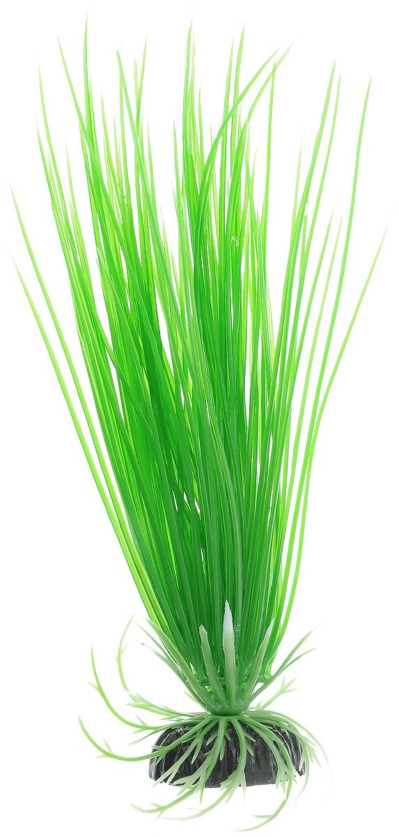 Растение для аквариума Barbus Акорус, пластиковое, высота 20 смPlant 007/20 Растение для аквариума Barbus Акорус, пластиковое, высота 20 смPlant 007/20Растение для аквариума Barbus Акорус, выполненное из качественного пластика, станет оригинальным украшением вашего аквариума. Пластиковое растение идеально подходит для дизайна всех видов аквариумов. Оно абсолютно безопасно, не токсично, нейтрально к водному балансу, устойчиво к истиранию краски, подходит как для пресноводного, так и для морского аквариума. Растение для аквариума Barbus поможет вам смоделировать потрясающий пейзаж на дне вашего аквариума или террариума. Высота растения: 20 см.