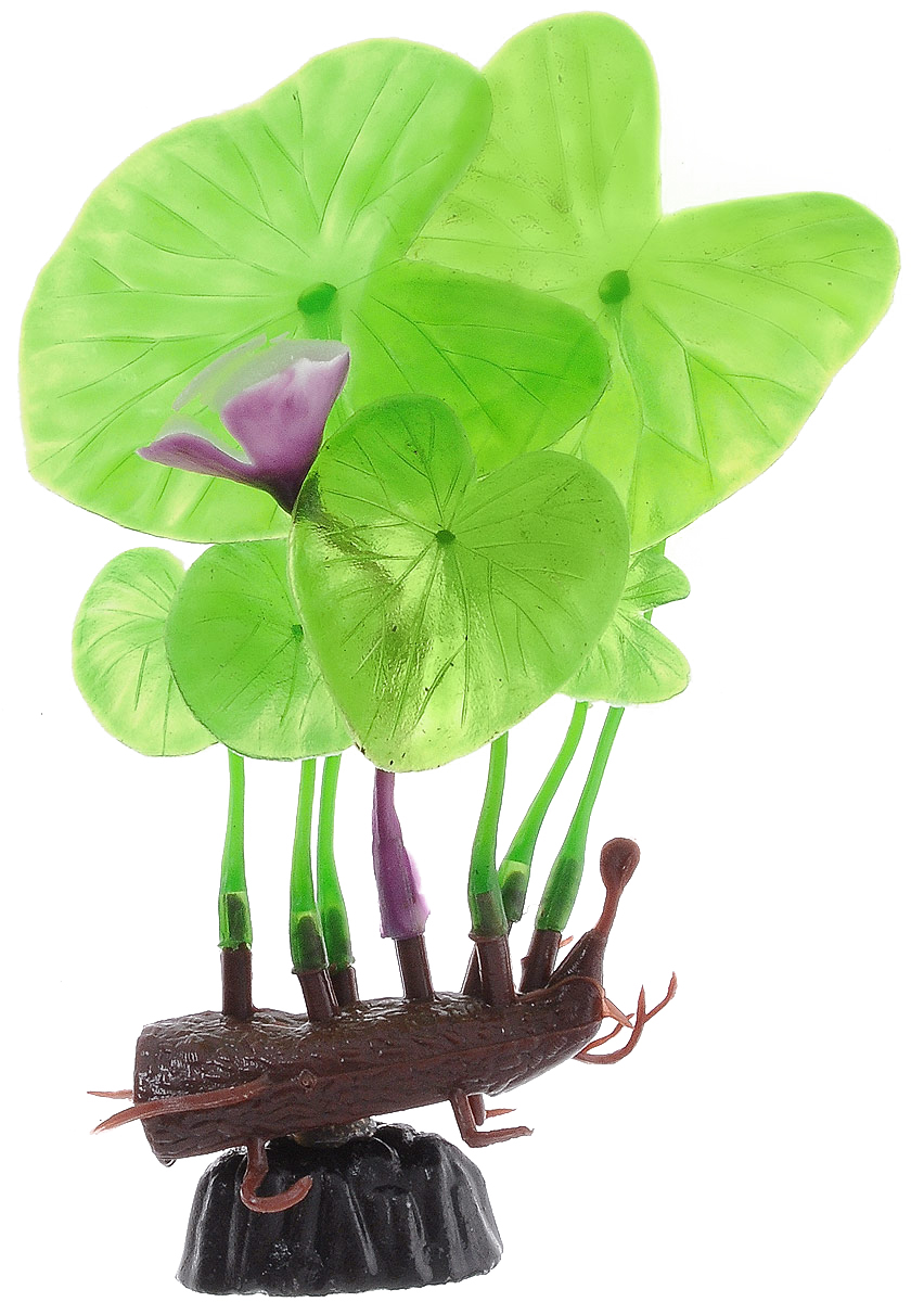 Растение для аквариума Barbus Лилия зеленая с цветком, пластиковое, высота 10 смPlant 013/10 Растение для аквариума Barbus Лилия зеленая с цветком, пластиковое, высота 10 смPlant 013/10Растение для аквариума Barbus Лилия зеленая с цветком, выполненное из качественного пластика, станет оригинальным украшением вашего аквариума. Пластиковое растение идеально подходит для дизайна всех видов аквариумов. Оно абсолютно безопасно, нейтрально к водному балансу, устойчиво к истиранию краски, подходит как для пресноводного, так и для морского аквариума. Растение для аквариума Barbus поможет вам смоделировать потрясающий пейзаж на дне вашего аквариума или террариума. Высота растения: 10 см.