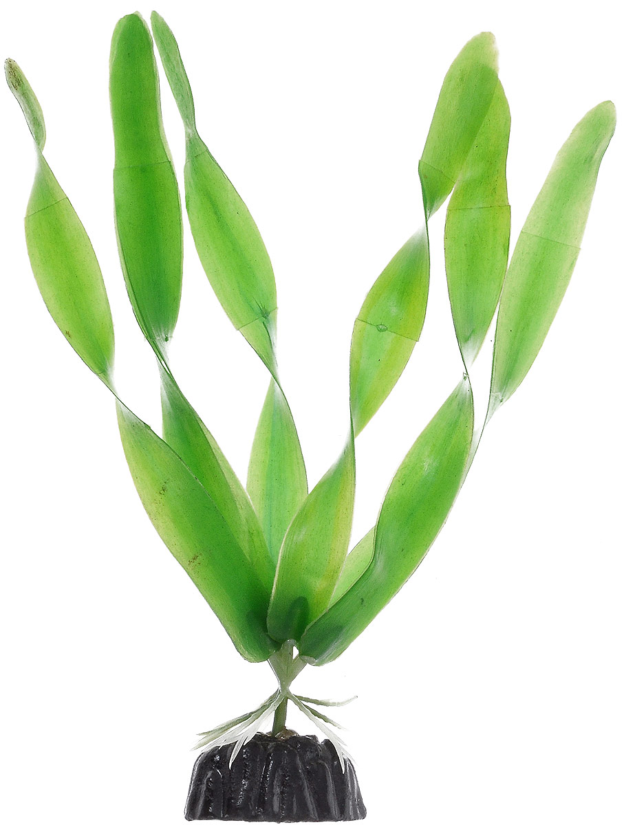 Растение для аквариума Barbus Валлиснерия широколистная, пластиковое, высота 10 смPlant 005/10 Растение для аквариума Barbus Валлиснерия широколистная, пластиковое, высота 10 смPlant 005/10Растение Barbus Валлиснерия широколистная, выполненное из высококачественного нетоксичного пластика, станет прекрасным украшением вашего аквариума. Пластиковое растение идеально подходит для дизайна всех видов аквариумов. В воде происходит абсолютная имитация живых растений. Изделие не требует дополнительного ухода. Оно абсолютно безопасно, нейтрально к водному балансу, устойчиво к истиранию краски, подходит как для пресноводного, так и для морского аквариума. Растение для аквариума Barbus Валлиснерия широколистная поможет вам смоделировать потрясающий пейзаж на дне вашего аквариума.Высота растения: 10 см.