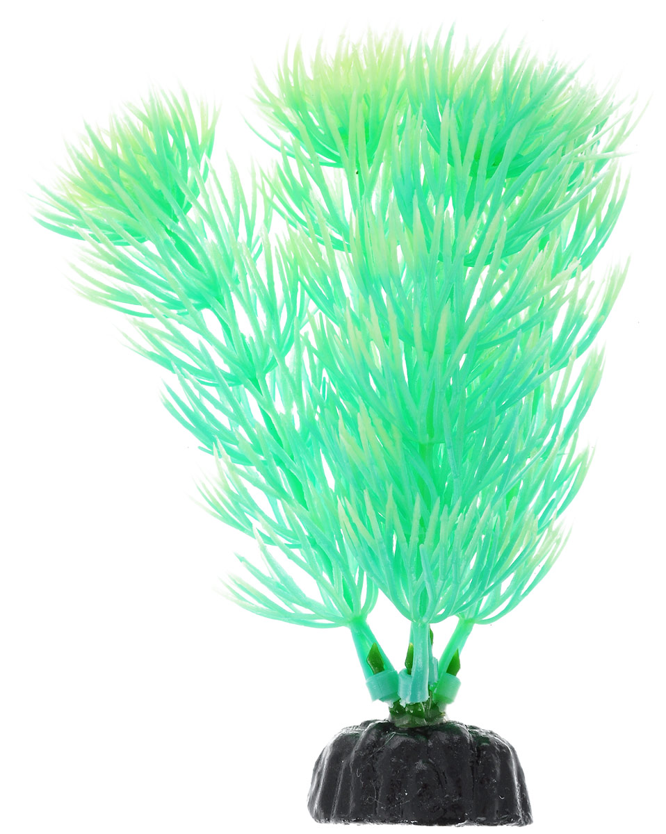 Растение для аквариума Barbus Амбулия, пластиковое, светящееся, высота 10 смPlant 055 DARK/10 Растение для аквариума Barbus Амбулия, пластиковое, светящееся, высота 10 смPlant 055 DARK/10Растение Barbus Амбулия выполнено из высококачественного нетоксичного пластика. Оно светится в темноте и станет оригинальным и необычным украшением вашего аквариума. Изделие не требует дополнительного ухода Оно абсолютно безопасно, нейтрально к водному балансу, устойчиво к истиранию краски, подходит как для пресноводного, так и для морского аквариума. Растение для аквариума Barbus Амбулия поможет вам смоделировать потрясающий пейзаж на дне вашего аквариума или террариума.Высота растения: 10 см.