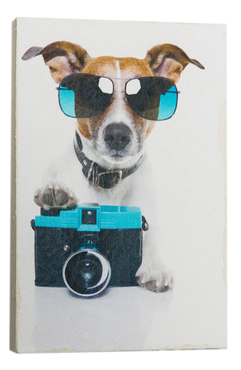 Картина Mister Poster Щенок-фотограф, 14,5 х 22 см0106-15-22 Картина Mister Poster Щенок-фотограф, 14,5 х 22 см0106-15-22Картина Mister Poster - это высококачественная репродукция на деревянной раме. Лицевая поверхность имитирует штукатурку или натуральный холст, края окрашены вручную специальным декоративным составом.Современные технологии, уникальное оборудование и оригинальные чернила, используемые при изготовлении, делают постер устойчивым к выцветанию, а также гарантируют стойкость к воздействию негативных внешних факторов. Интерьер дома и офиса, в котором находится человек, в значительной степени влияет на его настроение и работоспособность. Правильное оформление интерьера создает благоприятный психологический климат, улучшает настроение и мотивирует. Добавьте «красок» в ваш интерьер и, возможно, в вашу жизнь.