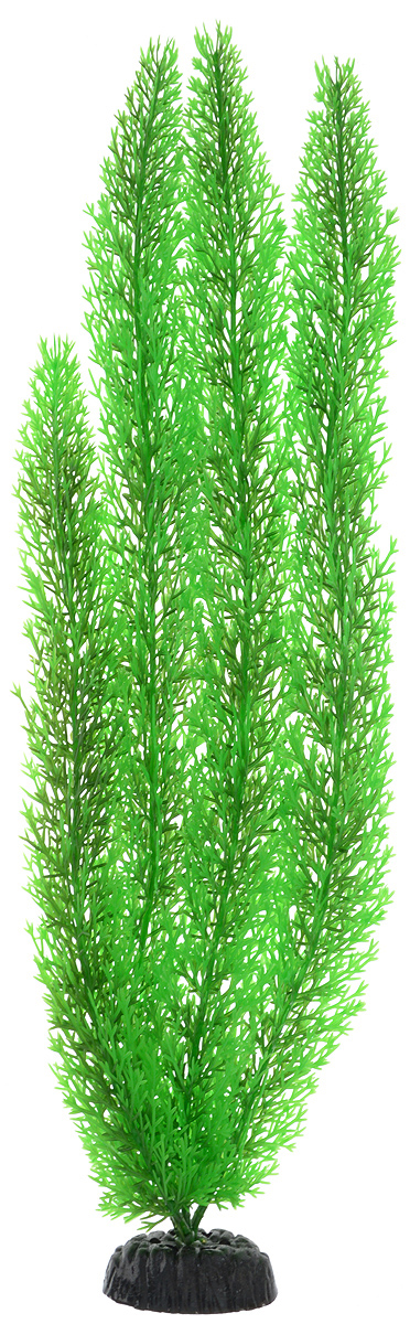 Растение для аквариума Barbus Роголистник, пластиковое, цвет: зеленый, высота 50 смPlant 015/50 Растение для аквариума Barbus Роголистник, пластиковое, цвет: зеленый, высота 50 смPlant 015/50Растение для аквариума Barbus Роголистник, выполненное из качественного пластика, станет прекрасным украшением вашего аквариума. Пластиковое растение идеально подходит для дизайна всех видов аквариумов. Оно абсолютно безопасно, нейтрально к водному балансу, устойчиво к истиранию краски, подходит как для пресноводного, так и для морского аквариума. Растение для аквариума Barbus поможет вам смоделировать потрясающий пейзаж на дне вашего аквариума или террариума. Высота растения: 50 см.