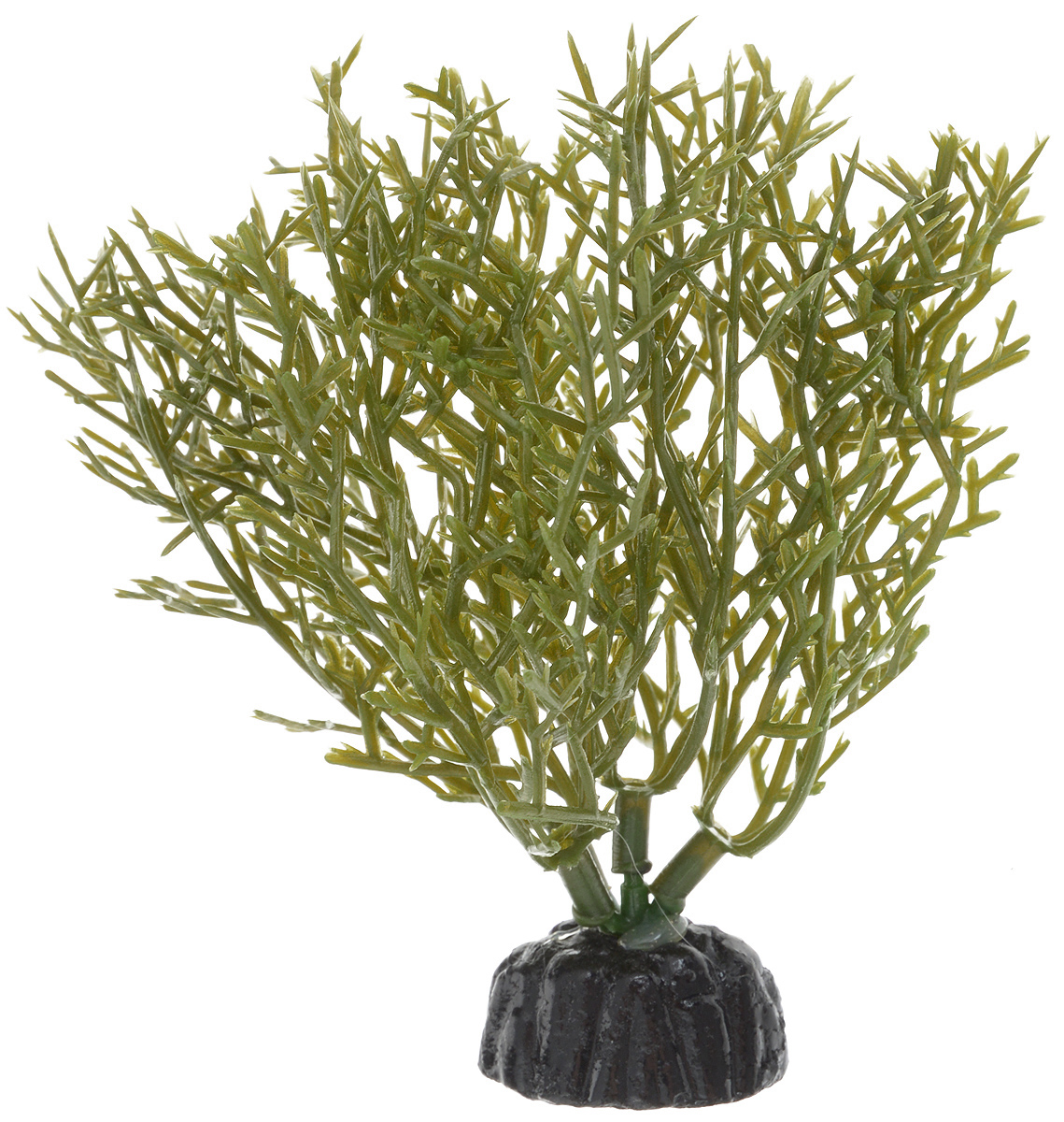 Растение для аквариума Barbus Яванский мох, пластиковое, высота 10 смPlant 024/10 Растение для аквариума Barbus Яванский мох, пластиковое, высота 10 смPlant 024/10Растение для аквариума Barbus Яванский мох, выполненное из качественного пластика, станет оригинальным украшением вашего аквариума. Пластиковое растение идеально подходит для дизайна всех видов аквариумов. Оно абсолютно безопасно, не токсично, нейтрально к водному балансу, устойчиво к истиранию краски, подходит как для пресноводного, так и для морского аквариума. Растение для аквариума Barbus поможет вам смоделировать потрясающий пейзаж на дне вашего аквариума или террариума. Высота растения: 10 см.