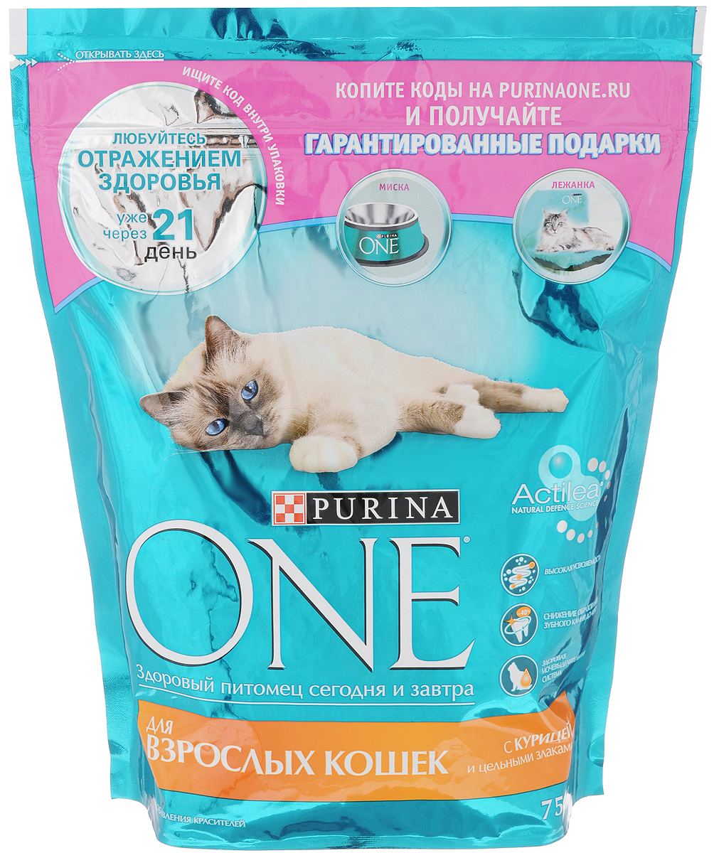 Корм сухой Purina One для взрослых кошек, с курицей и цельными злаками, 750 г12266732 Корм сухой Purina One для взрослых кошек, с курицей и цельными злаками, 750 г12266732Корм для взрослых кошек (старше 1 года) Purina One с курицей и злаками идеально подходит для домашних питомцев, за счет своего сбалансированного состава сохраняя и поддерживая их здоровье и хорошее самочувствие.Научными исследованиями доказано благотворное влияние содержащихся в корме Омега 6 жирных кислот и цинка на здоровье кожи и шерсти питомцев. При постоянном включении в рацион домашнего животного сухого корма Purina One шерсть кошек становится густой и блестящей, а их кости — крепкими и подвижными, за что, помимо прочего, отвечает витамин D, содержащийся в корме в нужном количестве.Корм для взрослой кошки должен содержать достаточное количество белка, необходимого для активности животных в этом возрасте. Purina One с курицей и злаками отвечает и этому показателю, являясь оптимальным выбором для питания всех взрослых кошек.Товар сертифицирован.