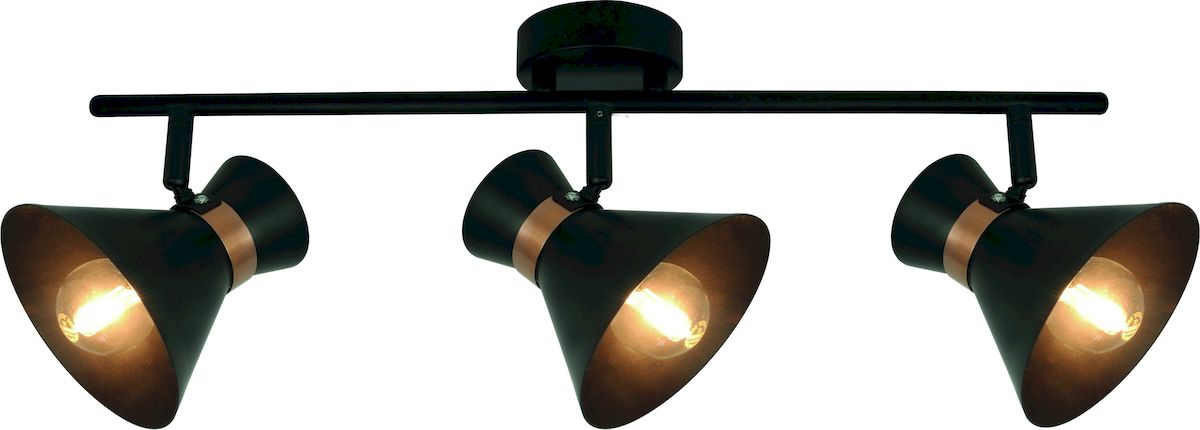 Светильник потолочный Arte Lamp 