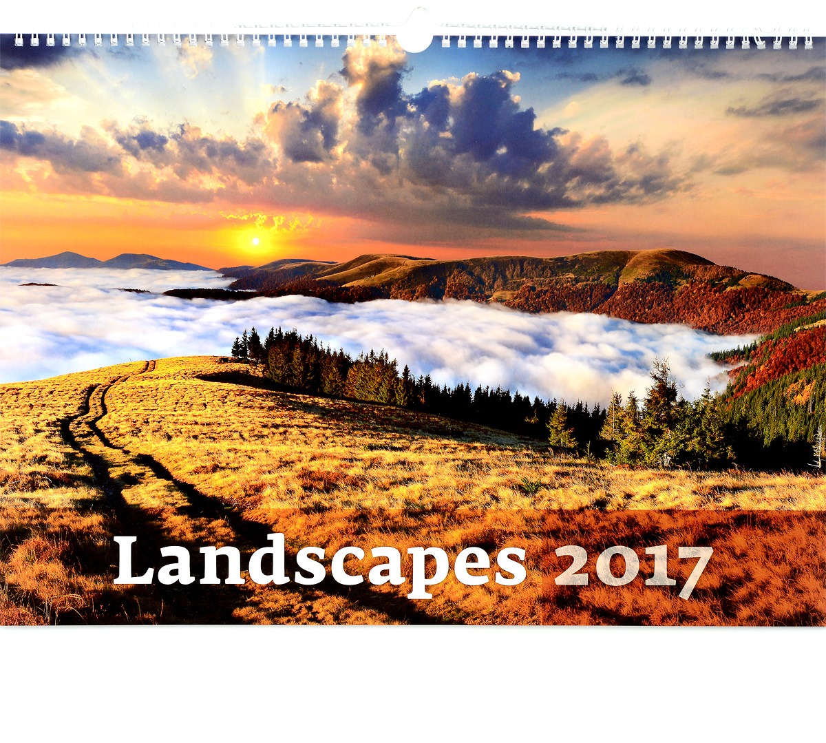 Календарь 2017 (на спирали). Гармония природы / Landscapes