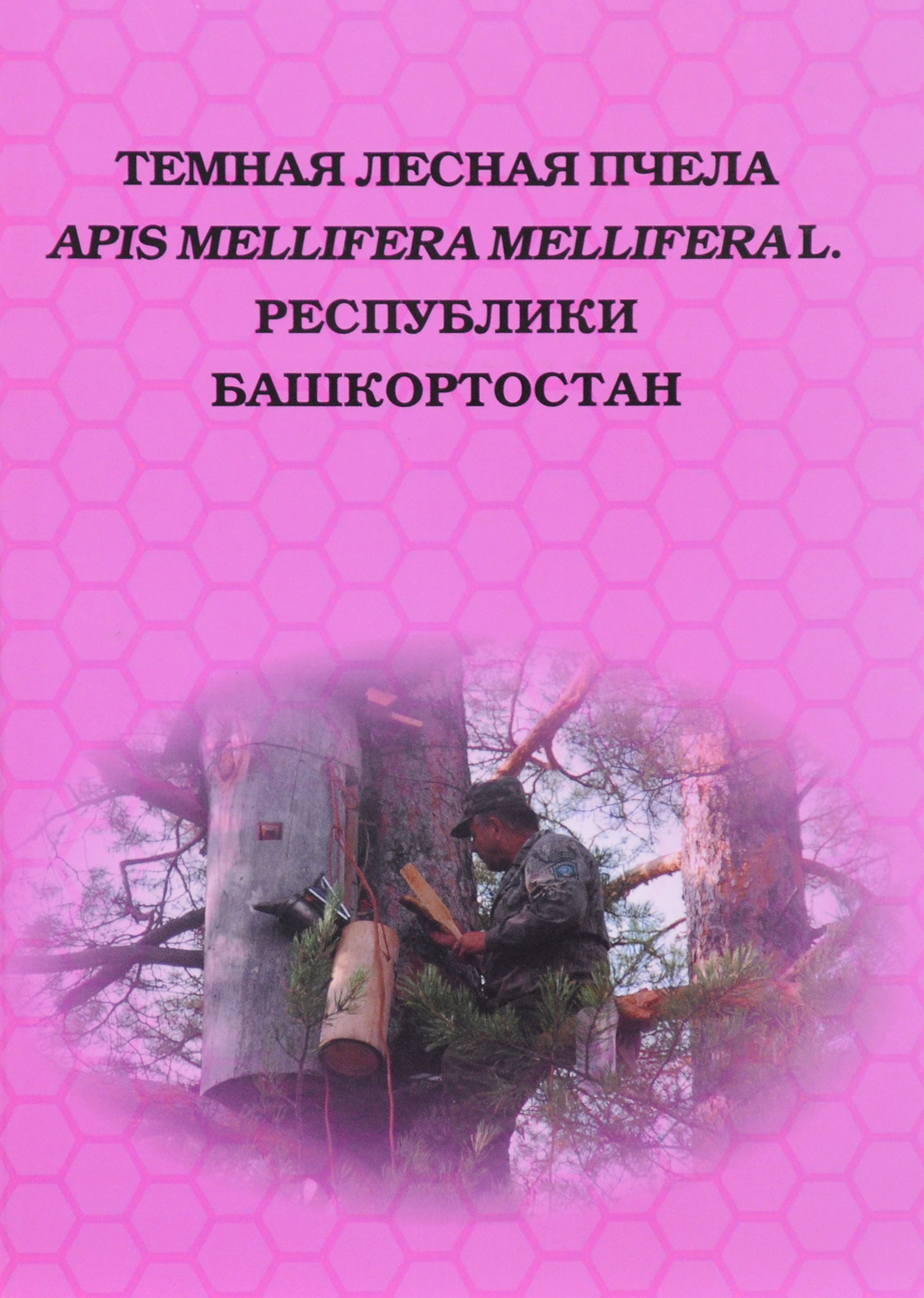 Темная лесная пчела Apis mellifera mellifera L. Республики Башкортостан