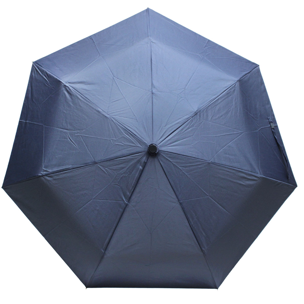 Зонт мужской Bisetti, цвет: синий. 227-1