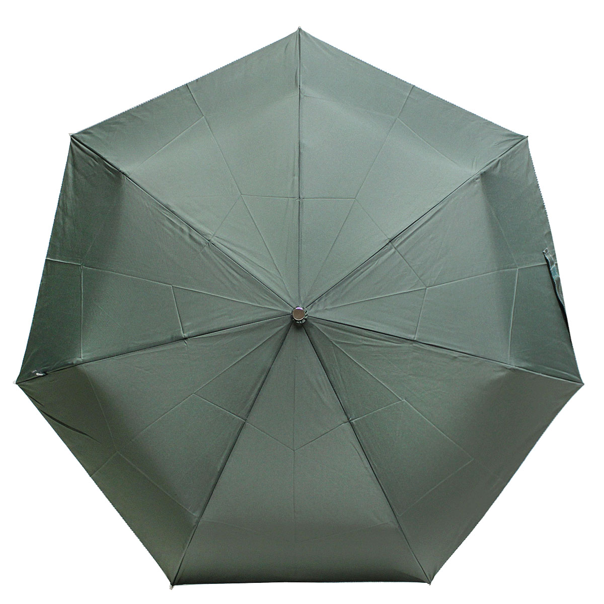Зонт женский Bisetti, цвет: серо-зеленый. 3580/1-5