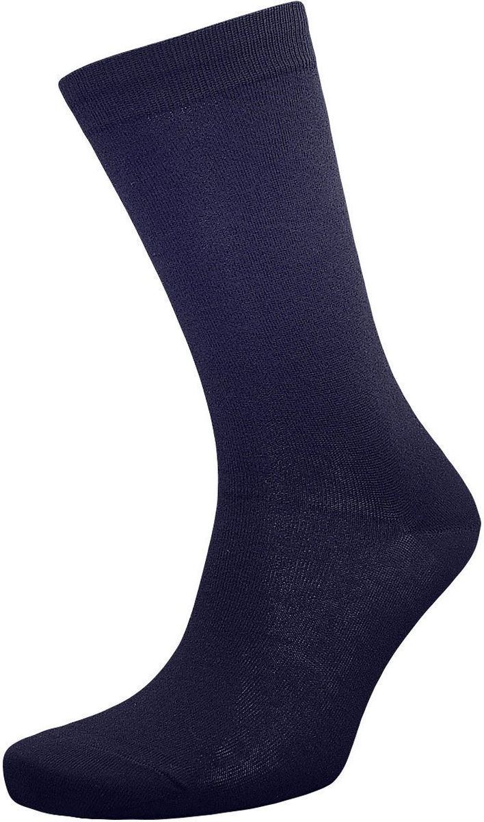 Носки мужские Гранд, цвет: темно-синий, 2 пары. ZCL98. Размер 27/29