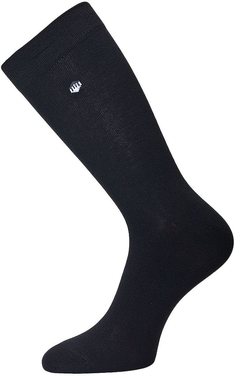 Носки мужские Гранд, цвет: черный, 2 пары. ZCL49. Размер 27/29
