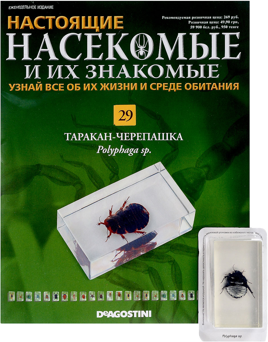 Насекомые Знакомые Насекомые Знакомые