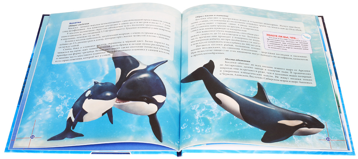 Касатки книги. Книга киты дельфины. Энциклопедия о дельфинах. Книги о китах и дельфинах для детей. Книга о касатках.