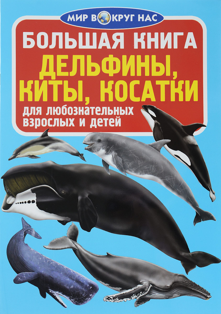 Дельфины, киты, косатки. О. В. Завязкин