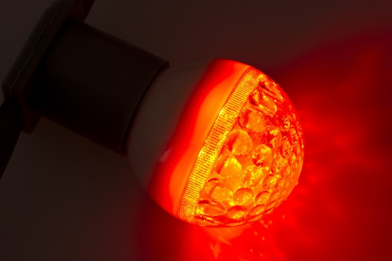 Лампа шар Neon-Night, светодиодная, 9 LED, цоколь Е27, цвет: красный, диаметр 50 мм405-212 Лампа шар Neon-Night, светодиодная, 9 LED, цоколь Е27, цвет: красный, диаметр 50 мм405-212Декоративные светодиодные лампы используются с гирляндой Belt Light и служат для украшения улиц, фасадов зданий и интерьеров. Колба лампы имеет форму шара диаметром 50мм, что позволяет увеличить площадь свечения и насыщенность светом окружающего пространства. Она выполнена из ударопрочного поликарбоната. Декоративная лампа имеет стандартный цоколь Е27, при помощи которого установка является весьма простой процедурой не занимающей много времени. Суммарная мощность светодиодов составляет всего 3Вт, что позволяет снизить затраты на электроэнергию и подключить гирлянду большей длины. Светодиодные лампы используются с гирляндами Belt Light двух или пятижильными, а при ипользовании специального контроллера можно создать различные динамические световые эффекты.