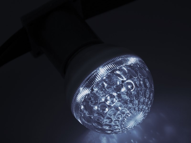 Лампа шар Neon-Night, светодиодная, 10 LED, цоколь Е27, цвет: белый, 24В, диаметр 50 мм405-615 Лампа шар Neon-Night, светодиодная, 10 LED, цоколь Е27, цвет: белый, 24В, диаметр 50 мм405-615Декоративные светодиодные лампы используются с гирляндой Belt Light и служат для украшения улиц, фасадов зданий и интерьеров. Колба лампы имеет форму шара диаметром 50мм, что позволяет увеличить площадь свечения и насыщенность светом окружающего пространства. Она выполнена из ударопрочного поликарбоната. Декоративная лампа имеет стандартный цоколь Е27, при помощи которого установка является весьма простой процедурой не занимающей много времени. Суммарная мощность светодиодов составляет всего 1Вт, что позволяет снизить затраты на электроэнергию и подключить гирлянду большей длины. Светодиодные лампы используются с гирляндами Belt Light двух или пятижильными, а при ипользовании специального контроллера можно создать различные динамические световые эффекты.