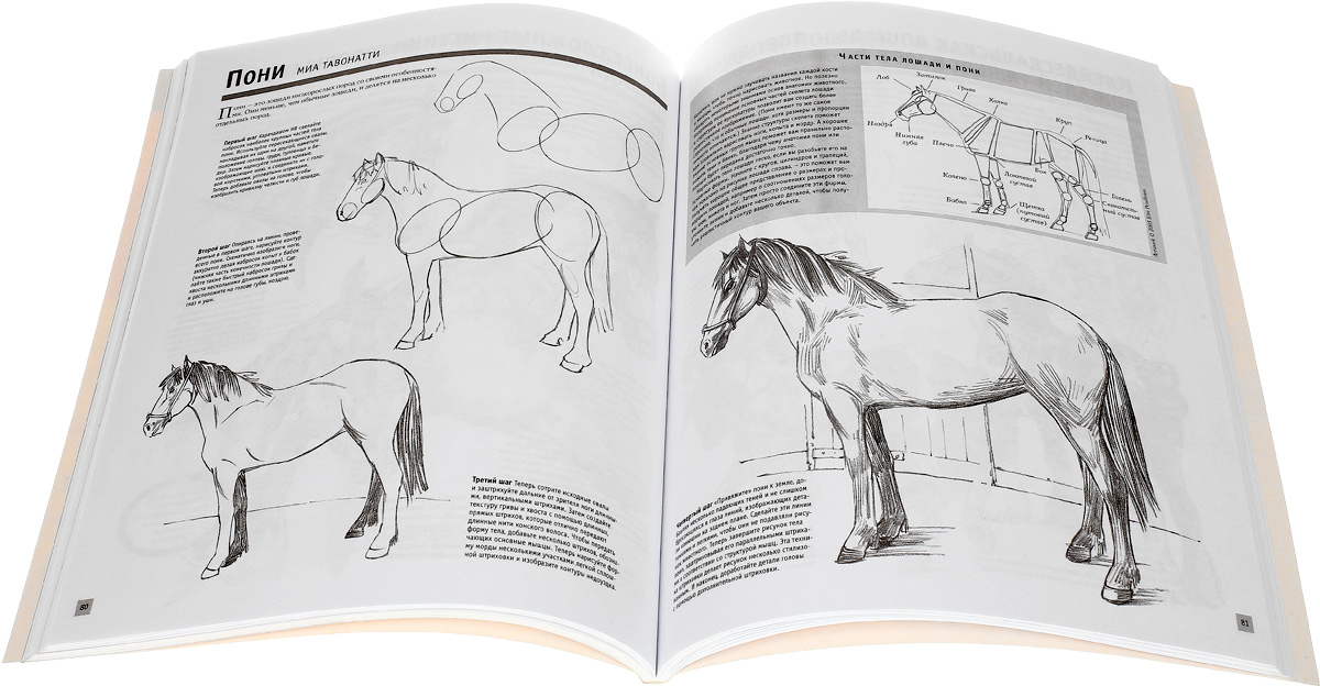 Книги по рисунку