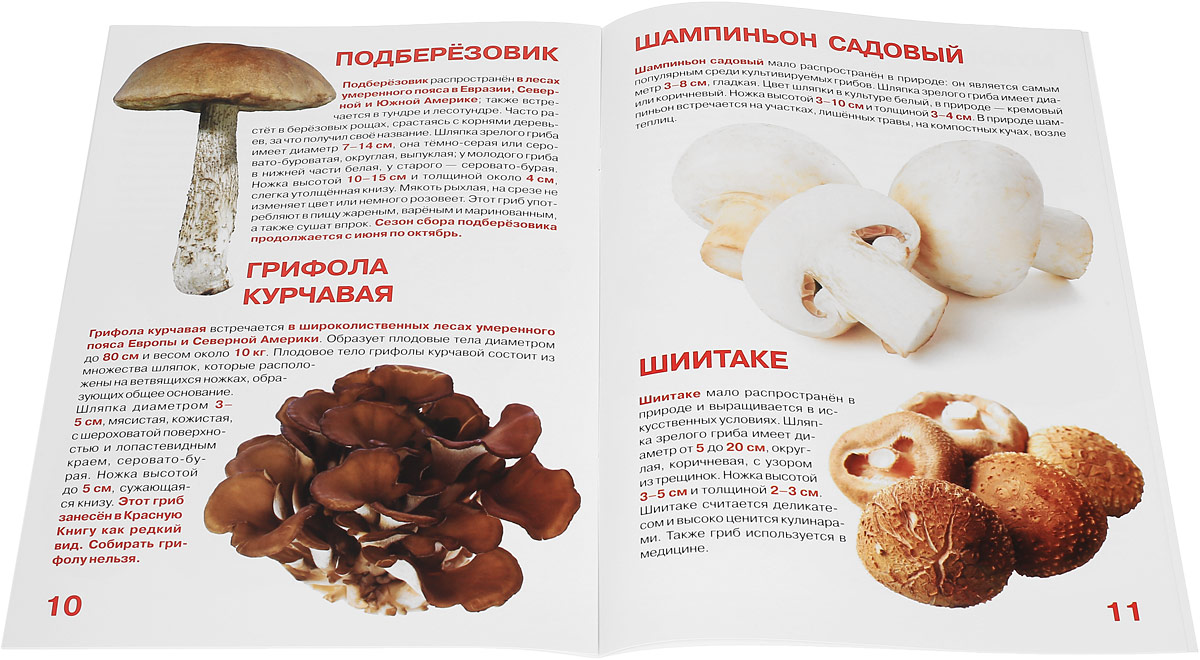 Где Купить Книги Про Грибы