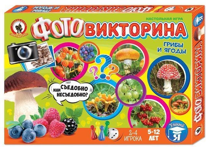 Русский стиль Настольная игра Фотовикторина Грибы и ягоды