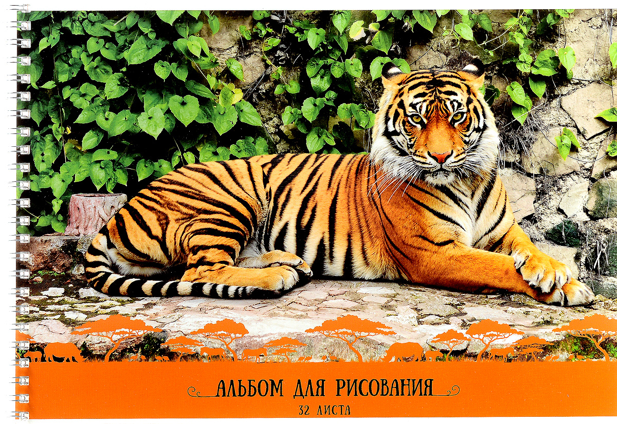 ArtSpace Альбом для рисования Тигры 32 листаА32спТС_9163 ArtSpace Альбом для рисования Тигры 32 листаА32спТС_9163Альбом для рисования ArtSpace Тигры непременно порадует маленького художника и вдохновит его на творчество.Обложка из плотного картона оформлена изображением полосатого тигра. Высокое качество бумаги позволяет карандашам, фломастерам и краскам ровно ложиться на поверхность и не растекаться по листу. Способ крепления - металлический гребень. В альбоме 32 листа.Во время рисования совершенствуется ассоциативное, аналитическое и творческое мышления. Занимаясь изобразительным творчеством, ребенок тренирует мелкую моторику рук, становится более усидчивым и спокойным и, конечно, приобщается к общечеловеческой культуре.