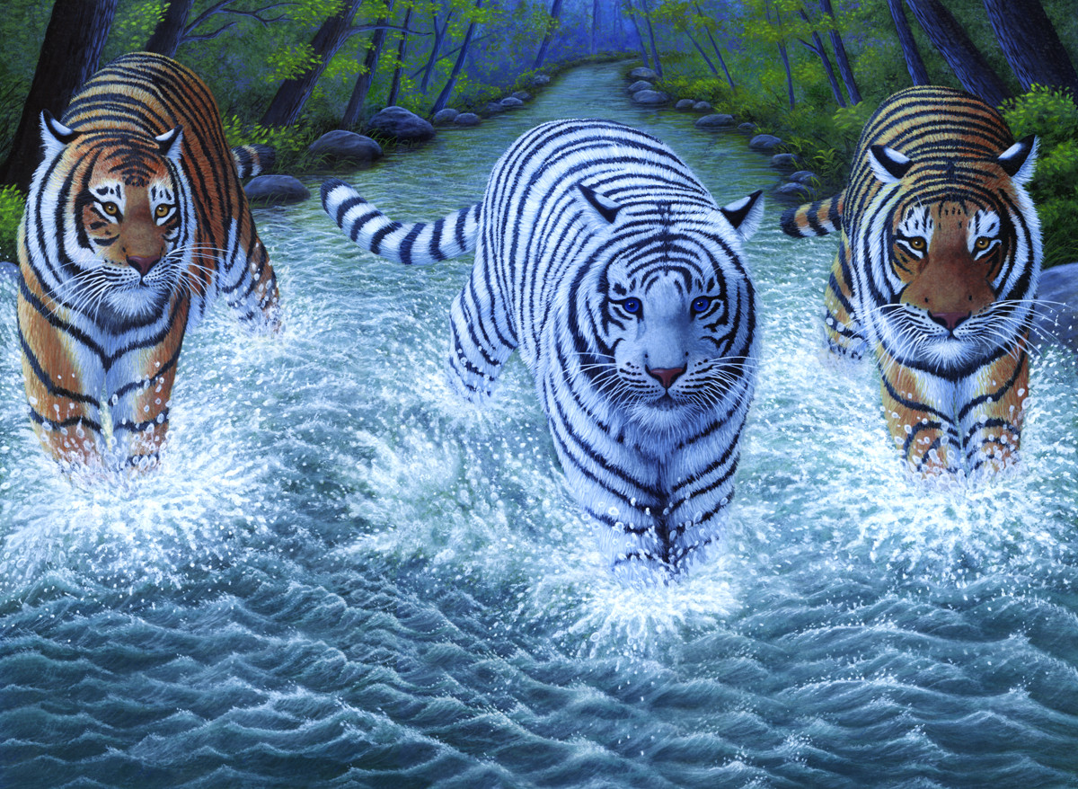 Royal & Langnickel Картина по номерам Три тигра