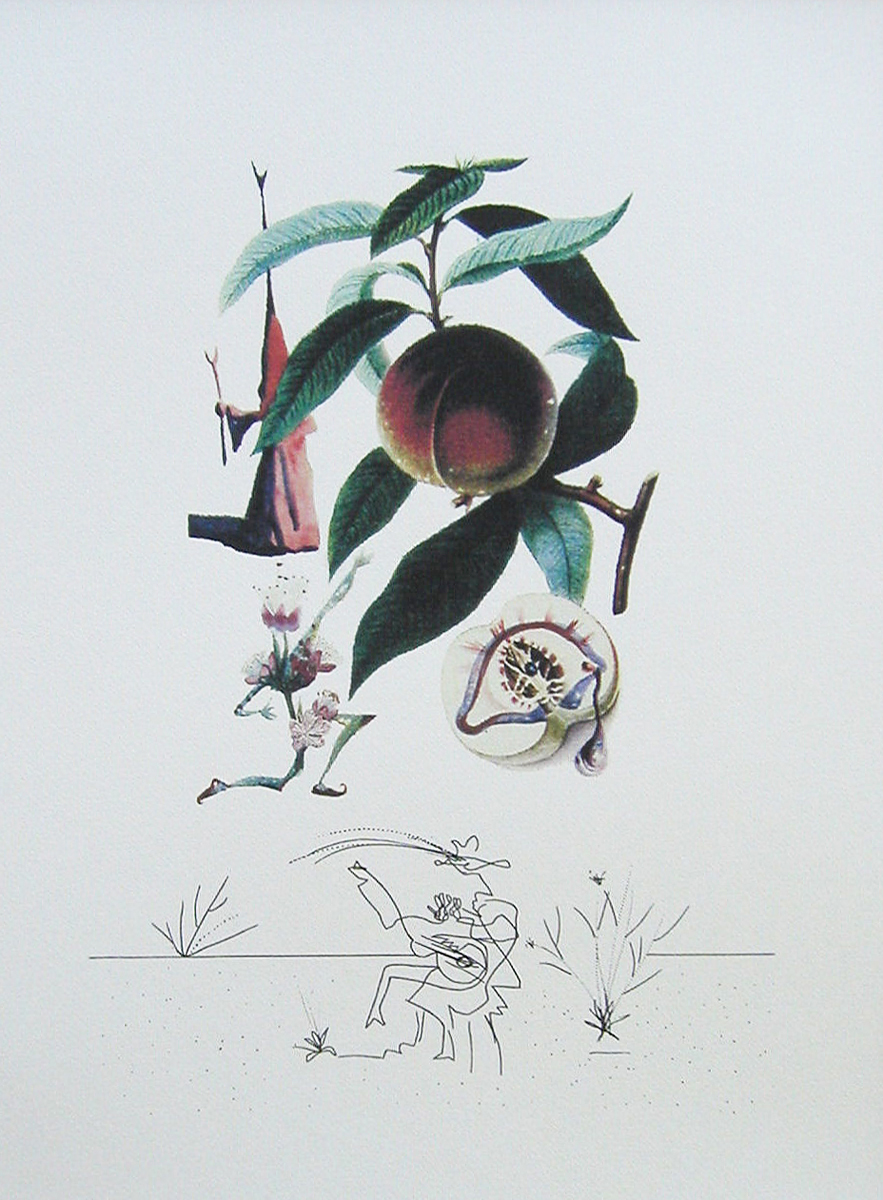 Кающийся персик. Цветная литография. Сальвадор Дали. Серия FlorDali Les Fruits. Франция, 1979 год