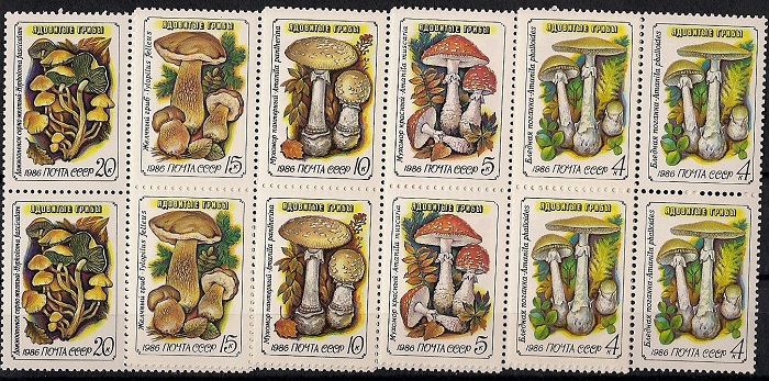 1986. Ядовитые грибы. № 5724 - 5728кб. Квартблоки. Серия