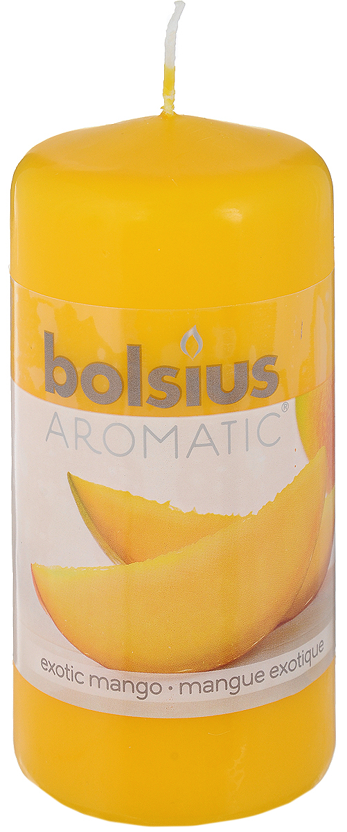 Свеча ароматическая Bolsius Манго, 6 х 6 х 11,5 см103626640110 Свеча ароматическая Bolsius Манго, 6 х 6 х 11,5 см103626640110Свеча ароматическая Bolsius Манго создаст в доме атмосферу тепла и уюта. Свеча приятно смотрится в интерьере, она безопасна и удобна в использовании. Свеча создаст приятное мерцание, а сладкий манящий аромат окутает вас и подарит приятные ощущения.