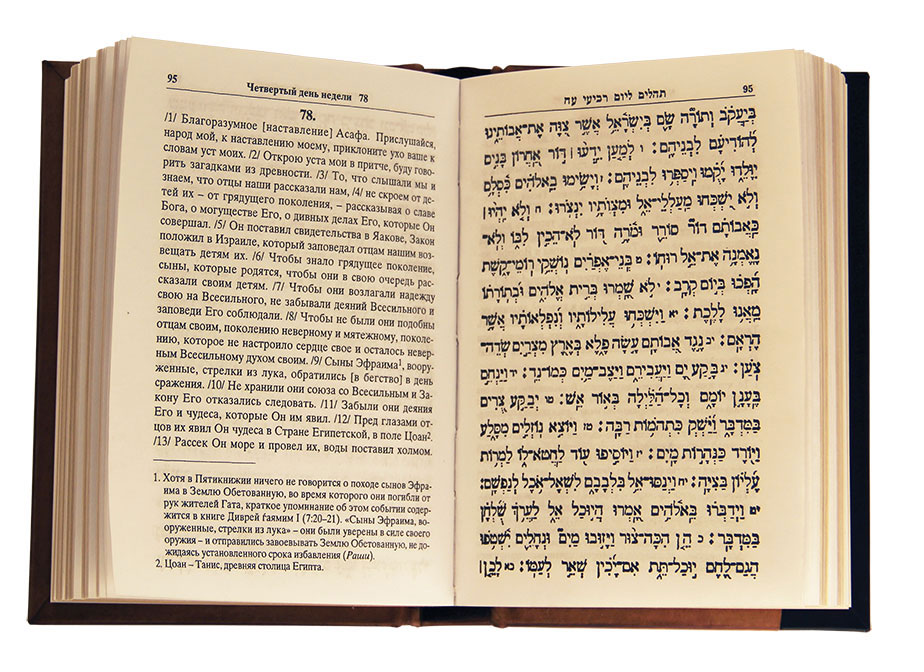 Читать тору. Тегилим. Тора читать на русском. Тегилим читать онлайн на русском. Книга Диврей,ГАЯМИМ.