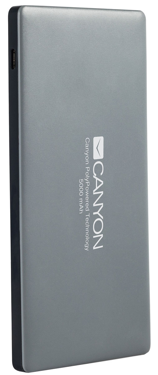 Canyon CNS-TPBP5DG, Dark Grey внешний аккумулятор (5000 мАч)