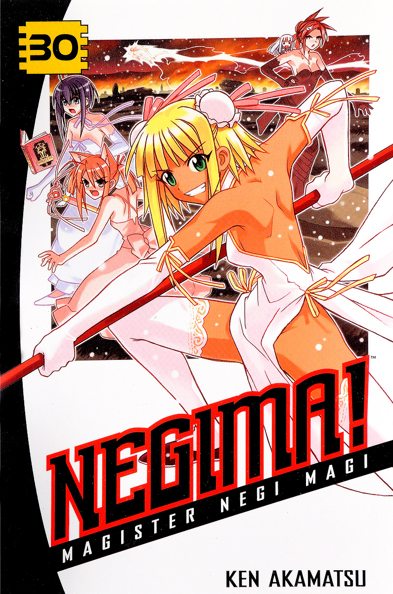 Negima! Volume 30