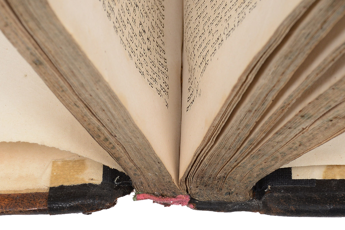 первая книга моисея бытие. сифра ди цениута. книги моисея 4 буквы. книга моисея. первая книга моисея бытие.