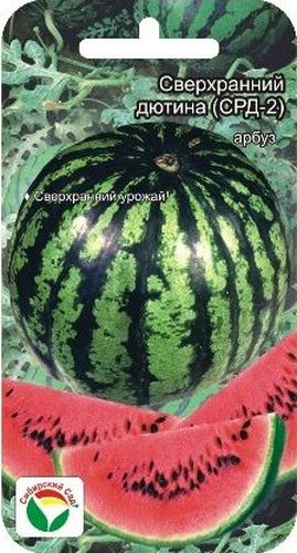 Семена Сибирский сад Арбуз. Сверх ранний Дютина-2, 4 штBP-00000174 Семена Сибирский сад Арбуз. Сверх ранний Дютина-2, 4 штBP-00000174Сорт ультраскороспелый. От всходов до созревания 55-60 дней. Плоды удлиненно-округлые, массой 4-5 кг. Поверхность плода гладкая, слаборебристая, с узкими темно-зелеными шиповатыми полосами на светло-зеленом фоне. Кора толстая, твердая. Мякоть красная, сочная, сладкая. Транспортабельность высокая, лежкость средняя. Сорт устойчив к слабовирулентным расам антракноза, вынослив к мучнистой росе и бахчевой тле. Рекомендуется для возделывания на поливе, подходит для выращивания в защищенном грунте.Урожайность при орошении: 30-35 т/га.