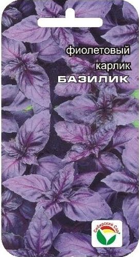 Семена Сибирский сад Базилик. Карлик фиолетовый, 0,5 гBP-00000177 Семена Сибирский сад Базилик. Карлик фиолетовый, 0,5 гBP-00000177Травянистое однолетнее растение, обладающее как пряно-ароматическими, так и лекарственными свойствами. Растение темно-фиолетового цвета, достигает в высоту 30-35 см, имеет великолепный вкус с оттенком запаха душистого перца. Растение великолепно отрастает после срезки. Обладает дезинфицирующим и мочегонным действием, снимает спазмы желудка и способствует укреплению нервной системы, обладает великолепным тонизирующим действием и способствует лучшему перевариванию жиров.Базилик предпочитает легкие плодородные почвы, не переносит переувлажнение и затенение. Сбор урожая производят до и во время цветения. Используют в свежем и сушеном виде для приготовления различных блюд, соусов, а также для ароматизации уксуса и других напитков.Выращивается как через рассаду, так и посевом в грунт.Для ускорения процесса всхожести семян, оздоровления растений, улучшения завязываемости плодов рекомендуется пользоваться специально разработанными стимуляторами роста и развития растений.