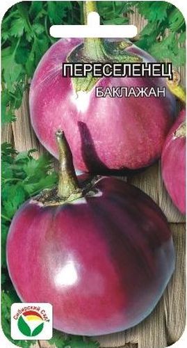 Семена Сибирский сад Баклажан. ПереселенецBP-00000180 Семена Сибирский сад Баклажан. ПереселенецBP-00000180Среднеранний сорт с крупными шаровидными плодами Сибирский сад Баклажан. Переселенец, вес плодов доходит до 1 кг. Плоды фиолетовые, мякоть зеленовато-белая, плотная, малосемянная. Для ускорения процесса всхожести семян, оздоровления растений, улучшения завязываемости плодов рекомендуется пользоваться специально разработанными стимуляторами роста и развития растений. Высота растения: до 50 см.