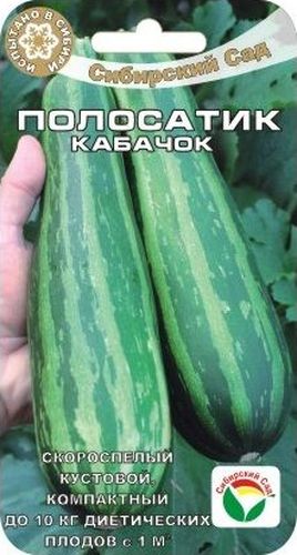 Семена Сибирский сад Кабачок. Полосатик, 5 штBP-00000209 Семена Сибирский сад Кабачок. Полосатик, 5 штBP-00000209Скороспелый высокоурожайный сорт кабачка - цуккини для открытого и закрытого грунта. Плоды созревают на 40-50 день после всходов. Ценный диетический продукт, содержит сахар, пектиновые вещества, минеральные соли (особенно много калия) и витамины. Хорошо переносит длительные похолодания, не требователен к регулярному поливу в период цветения и плодоношения. Растение компактное, кустового типа. Плоды цилиндрической формы с тонкой кожурой, с характерными чередующимися контрастными полосами темно- и светло-зеленого цвета, гладкие, весом до 0,5 кг. Мякоть белая, сочная, хрустящая, малосладкая. Благодаря повышенному содержанию сухих веществ плоды хороши для засолки, маринования и всех видов домашней кулинарии. Вызревшие плоды хранятся на свету при комнатной температуре до апреля. Урожайность 5-10 кг/м2. На рассаду кабачки сажают в начале мая, а на постоянное место высаживают при появлении 2-4 настоящих листьев. Уход: 2-3 рыхления междурядий, прополки, подкормки, поливы, особенно во время цветения и плодоношения. Оптимальная температура для роста и развития растений 18-25°С. Необходимая защита от заморозков. Сбор урожая: 1-2 раза в неделю, не допуская перерастания плодов более 15-20 см.