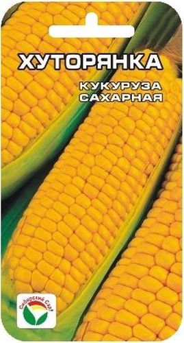 Семена Сибирский сад Кукуруза. ХуторянкаBP-00000240 Семена Сибирский сад Кукуруза. ХуторянкаBP-00000240Раннеспелый сорт алтайской селекции Сибирский сад Кукуруза. Хуторянка. Сорт среднерослый, масса початка в молочно-восковой спелости 160 гр. Сорт отличается высокими показателями вкусовых и биохимических качества. Зерно на вкус очень сладкое.