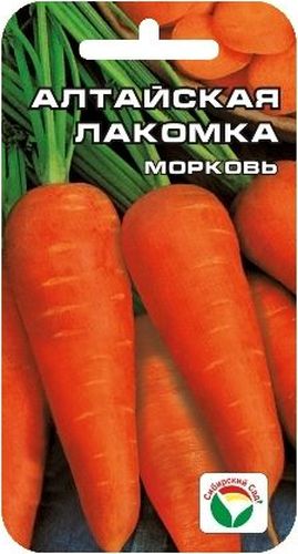 Семена Сибирский сад Морковь. Алтайская лакомка, 2 гBP-00000256 Семена Сибирский сад Морковь. Алтайская лакомка, 2 гBP-00000256Один из самых сладких сортов моркови! Характеризуется оптимальным сочетанием высоких вкусовых достоинств корнеплодов и способностью формировать урожай при самых экстремальных условиях выращивания. Сорт способен обеспечить продукцией при отсутствии полива и тщательного ухода, так как имеет высокую экологическую приспособленность к сибирским условиям. Имеет корнеплоды удлиненно-конической формы, до 20 см длиной, с закругленным кончиком. Красно-оранжевая мякоть с содержанием каротина и сахаров обеспечивает нежный морковный вкус. Корнеплоды способны лежать до следующего урожая без потерь вкусовых и товарных качеств. Для ускорения процесса всхожести семян, оздоровления растений, улучшения завязываемости плодов рекомендуется пользоваться специально разработанными стимуляторами роста и развития растений.