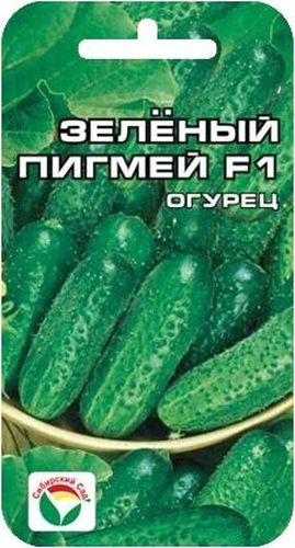 Семена Сибирский сад Огурец. Зеленый пигмей, 7 штBP-00000294 Семена Сибирский сад Огурец. Зеленый пигмей, 7 штBP-00000294Раннеспелый партенокарпический гибрид огурца с женским типом цветения. Период от всходов до сбора первого урожая 37-43 дня. Растение среднерослое, ветвление слабое, завязь групповая. Зеленцы выровненные, очень симпатичные, слабобугорчатые. Масса зеленца 60-75 г, длина 7-8 см. Рекомендуются для пленочных укрытий и открытого грунта. Урожайность прекрасная: 15-17 кг с 1 кв. м. Плоды без горечи, вкусовые качества свежих и консервированных плодов очень высокие. Мариновать и солить огурчики рекомендуется в фазе пикули и корнишонов. Гибрид устойчив к мучнистой росе и ложной мучнистой росе.Посев на глубину 1,5-2 см. Оптимальная температура почвы для прорастания семян 23-25°С. Плотность посадки - три растения на 1 м2. Растение укрывают пленкой, подвязывают к шпалере. Полив и подкормка органическими минеральными удобрениями в процессе вегетации. Сбор урожая через каждые 3-5 дней.Для ускорения процесса всхожести семян, оздоровления растений, улучшения завязываемости плодов рекомендуется пользоваться специально разработанными стимуляторами роста и развития растений.