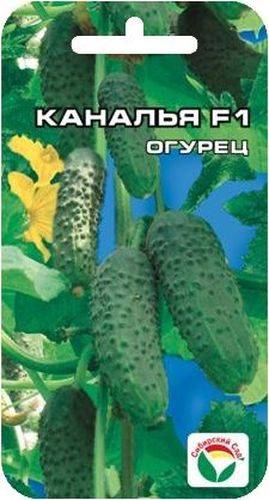 Семена Сибирский сад Огурец. Каналья, 7 штBP-00000297 Семена Сибирский сад Огурец. Каналья, 7 штBP-00000297Новейший короткоплодный, раннеспелый, партенокарпический гибрид огурца с женским типом цветения.Период от всходов до сбора урожая 37-40 дней. Плоды плотные, длиной 8-10 см, с черным простым опушением. Идеально подходит для выращивания в открытом грунте и пленочных укрытиях. Хорош для потребления в свежем виде и бесподобен для консервирования и маринования.Гибрид показывает стабильно высокие урожаи, высокую защищенность от основных заболеваний.Посев на глубину 1,5-2 см. Оптимальная температура почвы для прорастания семян 23-25°С. Плотность посадки - 3 растения на 1 м2. Растение укрывают пленкой, подвязывают к шпалере. Полив и подкормка органическими минеральными удобрениями в процессе вегетации. Сбор урожая через каждые 3-5 дней.Для ускорения процесса всхожести семян, оздоровления растений, улучшения завязываемости плодов рекомендуется пользоваться специально разработанными стимуляторами роста и развития растений.