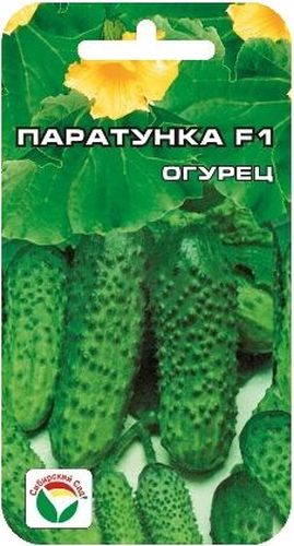 Семена Сибирский сад Огурец. Паратунка, 5 штBP-00000309 Семена Сибирский сад Огурец. Паратунка, 5 штBP-00000309Замечательный короткоплодный раннеспелый самоопыляемый гибрид. От всходов до начала плодоношения 40-43 дня. Отличается устойчивостью к температурным стрессам. Плодоношение пучковое, в одном узле формируется 2-3 цилиндрических среднебугорчатых зеленца, длиной 7-8 см, генетически без горечи. Вкусовые качества свежих и консервированных плодов отличные. Товарность и транспортабельность высокие. Гибрид устойчив к основным заболеваниям огурца, рекомендуется для выращивания как в защищенном, так и в открытом грунте. Урожайность достигает 11-14 кг с 1 м2.Посев на глубину 1,5-2 см. Оптимальная температура почвы для прорастания семян 23-25°С. Плотность посадки 3 растения на 1 м2. Растение укрывают пленкой, подвязывают к шпалере. Полив и подкормка органическими минеральными удобрениями в процессе вегетации. Сбор урожая через каждые 3-5 дней.Для ускорения процесса всхожести семян, оздоровления растений, улучшения завязываемости плодов рекомендуется пользоваться специально разработанными стимуляторами роста и развития растений.