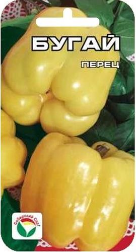 Семена Сибирский сад Перец. Бугай, 10 штBP-00000331 Семена Сибирский сад Перец. Бугай, 10 штBP-00000331Новый крупный раннеспелый сорт. Плоды впечатляют гигантскими размерами и радуют глаз благородством цвета и формы. Куст крепкий, высотой 50-60 см. Плоды кубовидной формы, толстостенные (до 10 мм), массой до 500 г, светящейся мягко-желтой окраски с жемчужным отливом, нежно-пряного вкуса, долго сохраняют внешний вид и блеск. Сорт универсального назначения. Пригоден для выращивания в теплицах и в открытом грунте. Посев на рассаду производят за 60-70 дней до высадки растений на постоянное место. Оптимальная постоянная температура прорастания семян 26-28°С. При высадке в грунт на 1 м2 размещают до 5-6 растений. Сорт хорошо реагирует на полив и подкормки комплексными минеральными удобрениями. Для ускорения процесса всхожести семян, оздоровления растений, улучшения завязываемости плодов рекомендуется использовать специально разработанные стимуляторы роста и развития растений.