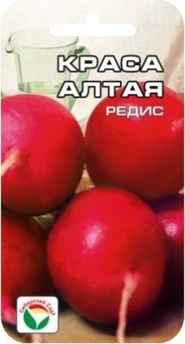 Семена Сибирский сад Редис. Краса Алтая, 2 гBP-00000385 Семена Сибирский сад Редис. Краса Алтая, 2 гBP-00000385Новый среднеранний высокоурожайный сорт селекции Западно-Сибирской овощной опытной станции для выращивания в открытом грунте. Корнеплоды крупные, округлой формы, рубиново-красного цвета. Мякоть белая, сочная, слабоострая на вкус, долго не дрябнет. Сорт отличается дружной отдачей урожая, устойчивостью к цветушности. Пригоден для посева как в ранневесенние сроки, так и летом. Семена высеивают в ранневесенние сроки по мере созревания почвы либо летом. Глубина заделки семян 1,5-2 см. Для ускорения процесса всхожести семян, оздоровления растений, улучшения завязываемости плодов рекомендуется пользоваться специально разработанными стимуляторами роста и развития растений.Вес: 2 г.
