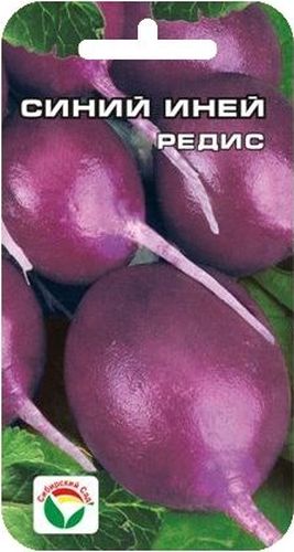 Семена Сибирский сад Редис. Синий иней, 2 гBP-00000392 Семена Сибирский сад Редис. Синий иней, 2 гBP-00000392Новый раннеспелый сорт сибирской селекции с оригинальной окраской плодов. Срок созревания 20-25 дней. Корнеплоды сине-фиолетого цвета, овальной формы, массой до 25 г, долго не дрябнут. Мякоть плотная, хрустящая, нежная и сочная. Сорт практически не подвергается стрелкованию, поэтому пригоден для выращивания в течение всего лета. Семена высеивают в ранневесенние сроки по мере созревания почвы, либо летом. Глубина заделки семян 1,5-2 см. Для ускорения процесса всхожести семян, оздоровления растений, улучшения завязываемости плодов рекомендуется использовать специально разработанные стимуляторы роста и развития растений.Вес: 2 г.