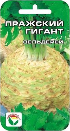 Семена Сибирский сад Сельдерей. Пражский гигант, 0,5 гBP-00000422 Семена Сибирский сад Сельдерей. Пражский гигант, 0,5 гBP-00000422Высокоурожайный ароматичный сорт. Корнеплоды крупные, реповидной формы. Мякоть белая, нежная. Вкусовые качества хорошие.Выращивают рассадным способом. Для получения крепкой здоровой рассады за ней необходим тщательный уход - рыхление,полив,подкормка. Рассаду высаживают в грунт в возрасте 60-80 дней в середине-конце мая по схеме 35х40 см. Корнеплоды убирают при наступлении заморозков.Для ускорения процесса всхожести семян, оздоровления растений, улучшения завязываемости плодов рекомендуется использовать специально разработанные стимуляторы роста и развития растений.