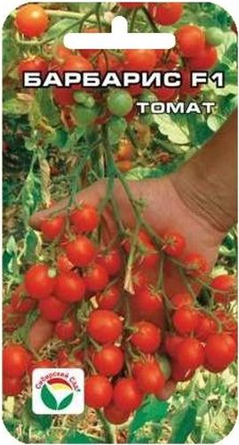 Семена Сибирский сад Томат. Барбарис, 15 штBP-00000440 Семена Сибирский сад Томат. Барбарис, 15 штBP-00000440Вишневовидный (черри) гибрид раннего срока созревания. Очень понравится любителям оригинальных, необычных томатов. Растение индетерминантное, высотой до 2 метров, формирует от трех до пяти мощных кистей с огромным количеством (до 100 шт) вишневовидных мелких плодов массой 10-12 г. Томаты очень сладкие (содержание сахаров до 8%), при этом плотные и мясистые. Пригодны для употребления в свежем виде, украшения блюд, цельноплодного консервирования. Куст необыкновенно декоративен, сделает вашу теплицу красивой и нарядной. Гибрид рекомендуется для выращивания в защищенном грунте. Посев на рассаду производят за 50-60 дней до высадки растений на постоянное место. Оптимальная постоянная температура прорастания семян 23-25°С. При высадке в грунт на 1 м2 размещают 3-4 растения. Сорт хорошо реагирует на полив и подкормки комплексными минеральными удобрениями. Выращивается в один стебель с подвязкой и пасынкованием. Для ускорения процесса всхожести семян, оздоровления растений, улучшения завязываемости плодов рекомендуется пользоваться специально разработанными стимуляторами роста и развития растений.